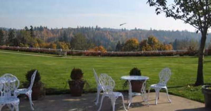 Outdoor patio area with white metal chairs and tables on a concrete surface, surrounded by potted plants. In the background, there is a large green lawn and a scenic view of trees and hills under a clear sky.