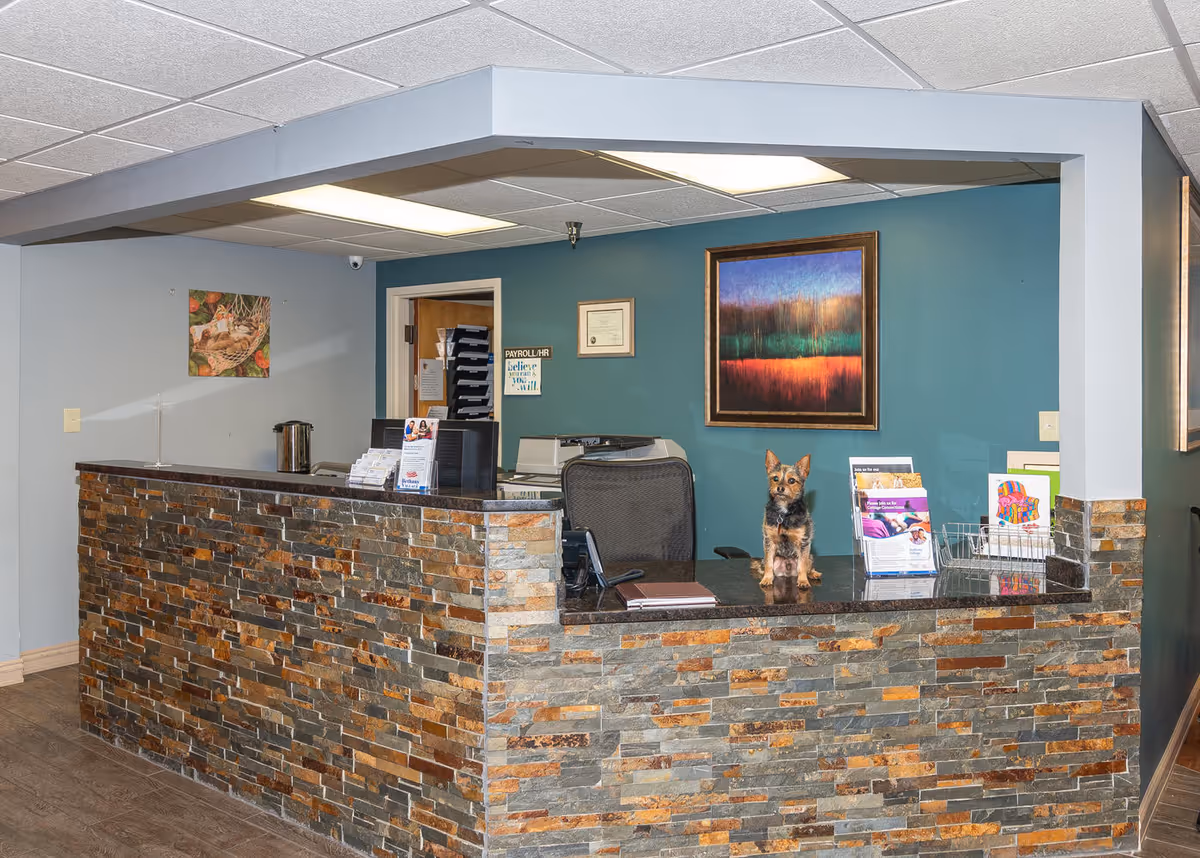 Reception area with a stone-faced counter and a small dog sitting on the counter. Behind the counter is an office chair, a computer monitor, and various brochures. The walls are painted blue and gray, with framed artwork hanging on them. The ceiling has recessed lighting.