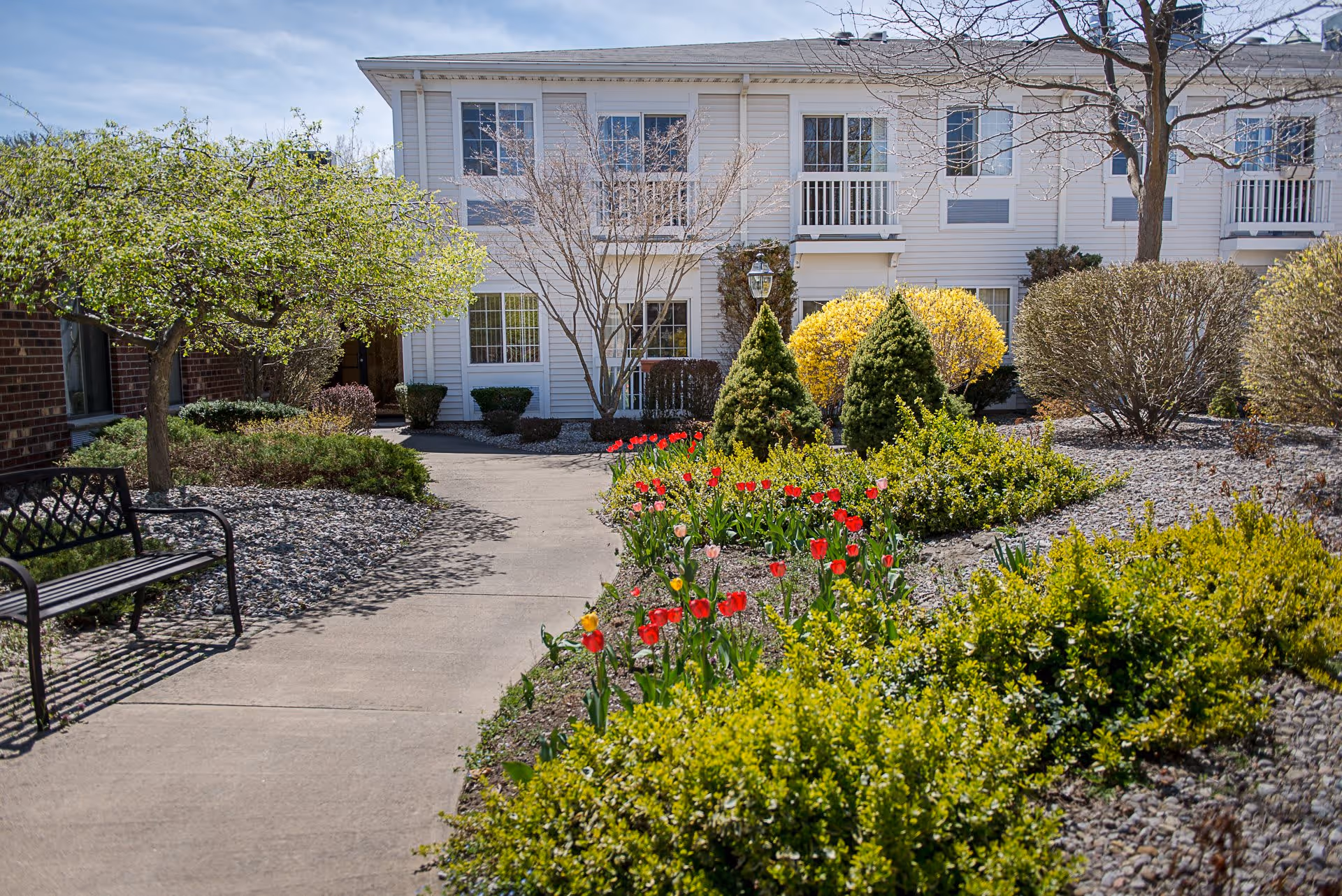 Walkway through a landscaped courtyard with red tulips, shrubs, a bench, and a two-story white residential building in the background.