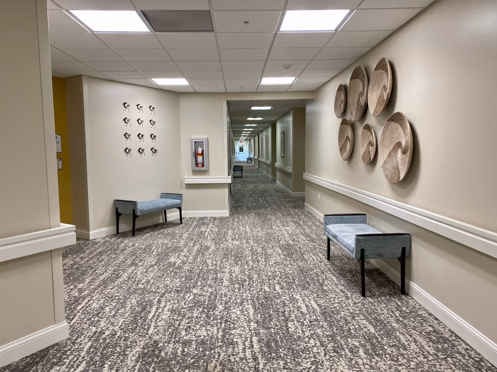 A long, carpeted hallway in a senior living facility with beige walls and ceiling tiles. There are two blue cushioned benches on either side of the hallway. The left wall features a decorative arrangement of small bird sculptures, and the right wall has a display of six woven circular baskets. A fire extinguisher is mounted on the left wall. The hallway extends into the distance with additional benches and framed artwork visible.
