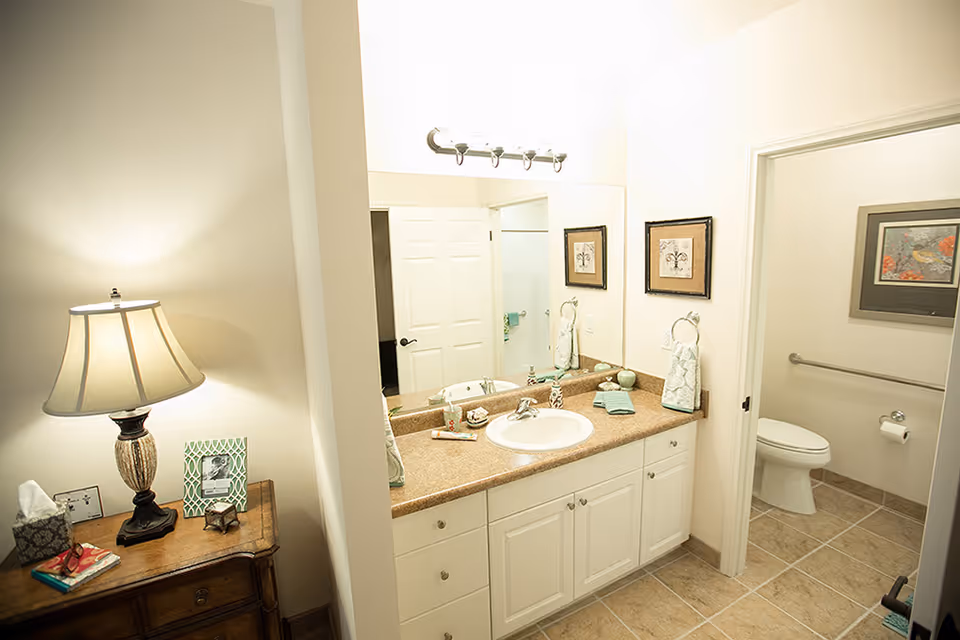 A well-lit bathroom with a large mirror above a countertop with a sink. The countertop has decorative items including a soap dispenser, a small plant, and folded towels. To the right, there is a separate toilet area with a grab bar and a framed picture on the wall. On the left side, there is a wooden side table with a lamp, tissue box, and picture frames.