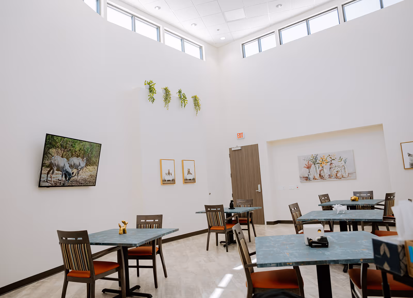 A bright dining room with several tables and chairs arranged neatly. The walls are white with high windows near the ceiling allowing natural light to fill the room. There are framed pictures and small plants decorating the walls, and a TV mounted on one wall displaying an image of two animals. The floor is light-colored, and the overall atmosphere is clean and inviting.