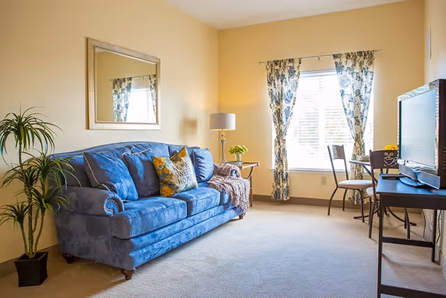 Bright living room with a blue couch, potted plant, floor lamp, TV on a stand, and a window with floral curtains.