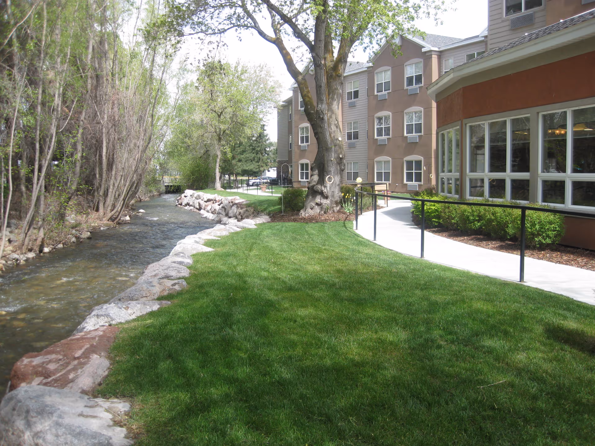 A grassy outdoor area next to a flowing creek bordered by rocks, with a large tree and a paved walkway leading to a multi-story building with many windows.