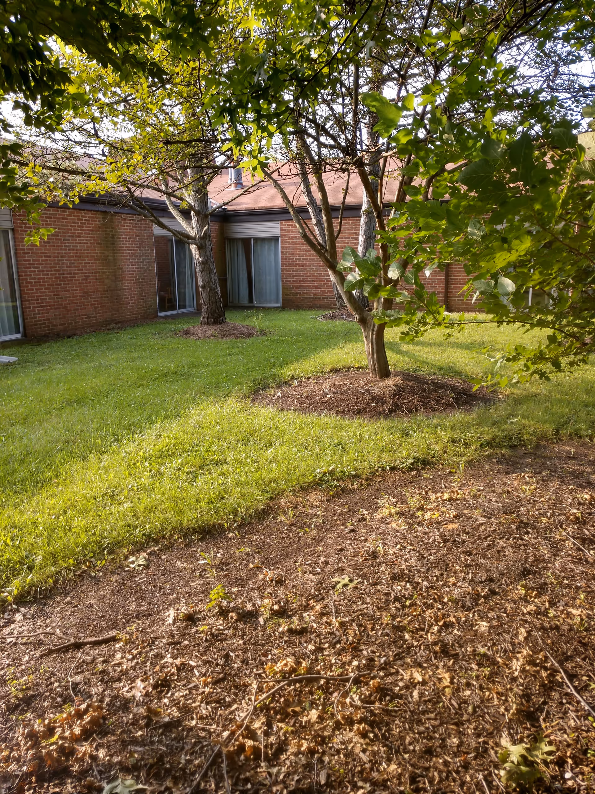 A grassy courtyard with trees and mulched beds in front of a one-story brick building with sliding glass doors.