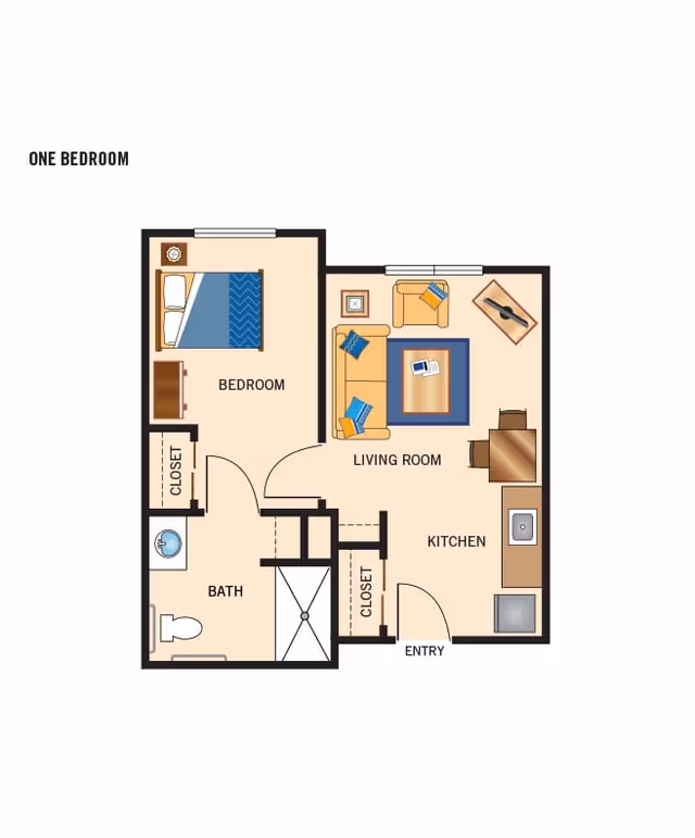 Colored one-bedroom apartment floor plan showing a bedroom, bathroom, living room, kitchen, closets, and entry.
