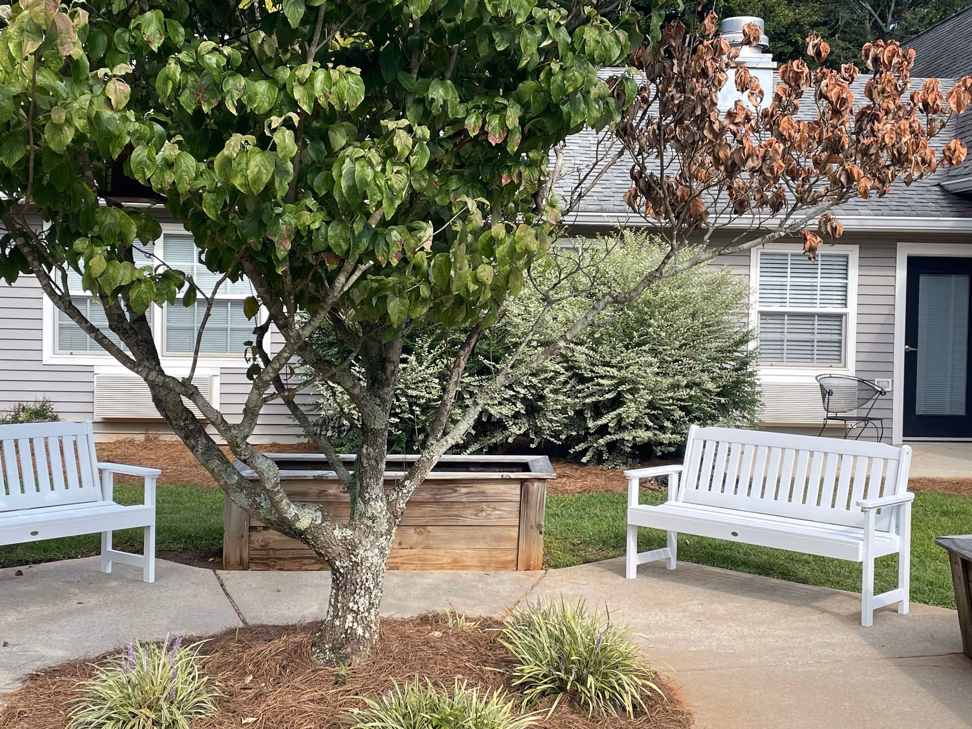 Courtyard with two white benches, a small tree, a raised wooden planter, and the exterior of a senior living building in the background.
