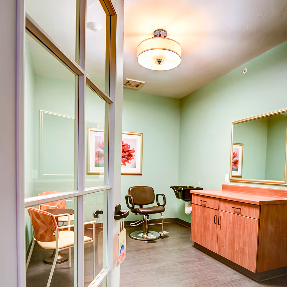 Interior view of a small salon room with a styling chair, a black hair washing sink, a wooden cabinet with drawers, a large mirror on the wall, two chairs with patterned upholstery, and a framed floral artwork on the light green wall. The room is lit by a ceiling light fixture and has a glass-paneled door partially open.