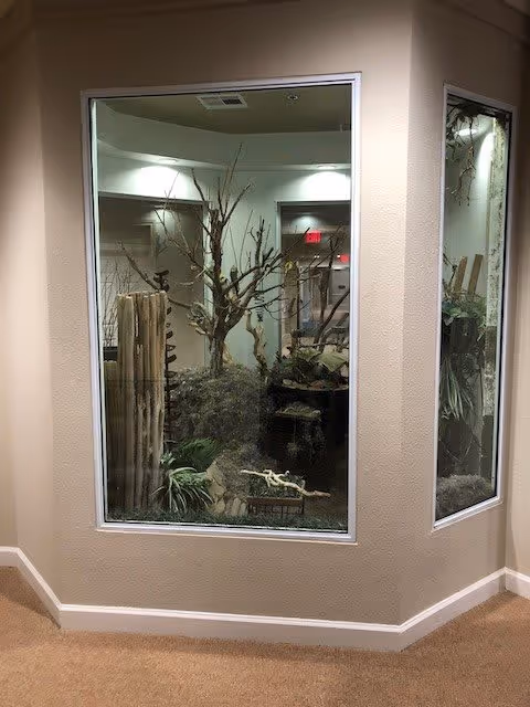 Indoor corner display with large windows showing an artificial nature scene including bare tree branches, plants, and rocks inside a senior living facility.