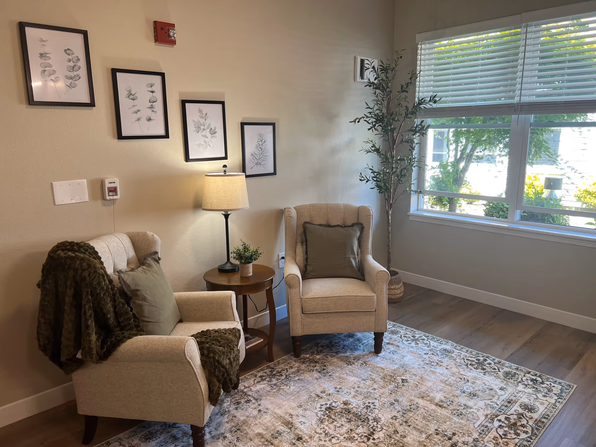 A cozy sitting area with two beige armchairs, each with a green cushion. One chair has a dark green throw blanket draped over it. Between the chairs is a small wooden side table with a lamp and a small potted plant. Four framed botanical prints hang on the beige wall above the chairs. A large window with white blinds lets in natural light, and a tall potted plant stands in the corner. The floor has a patterned area rug over wood flooring.