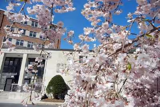Front exterior of Bethany Health Care Center with blooming pink cherry blossoms in foreground.